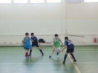 IMG_1551